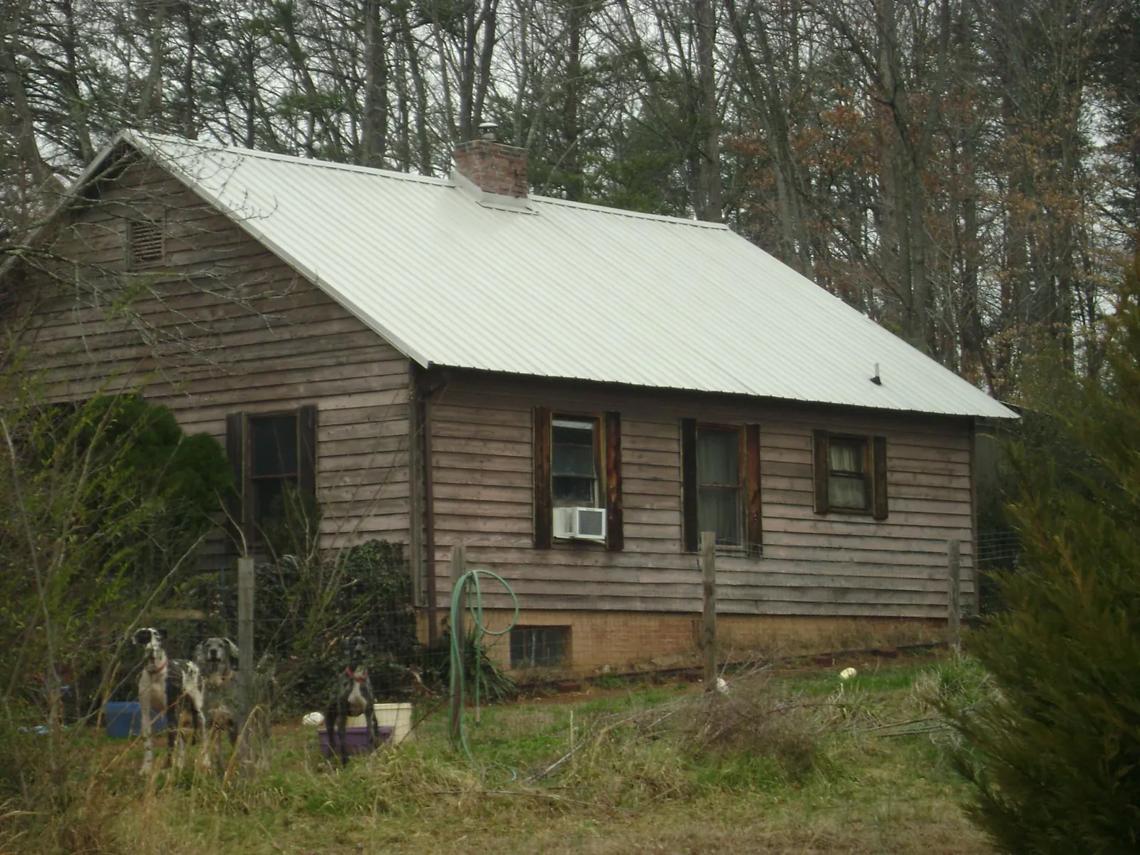 White metal roof on an old wood sided farmhouse, from a Asphalt Shingle Roof Repair job in Sheridan